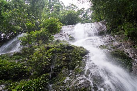 Korup National Park Official GANP Park Page