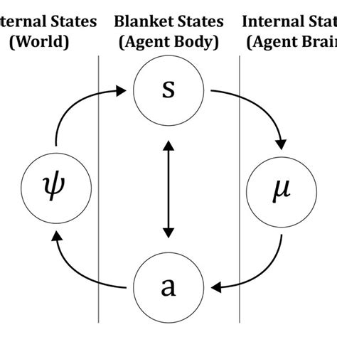 1 Diagram Of A Markov Blanket The Agent µ Is Separated From The Download Scientific Diagram