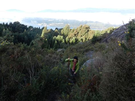 Grupo De Andainas R As Baixas Subida Al Mirador Do Cervo En Vilanova