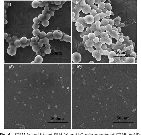 Figure From The Wet Chemical Synthesis Of Surfactant Capped Quasi