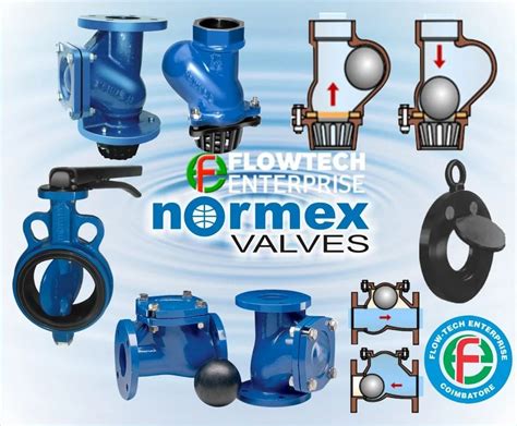 CI Foot Valve Normex Non Return Valve Coimbatore Wholesale