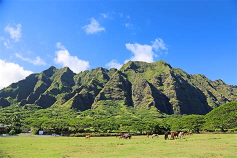 Shaka Guides Oahu Grand Circle Island Tour Itinerary