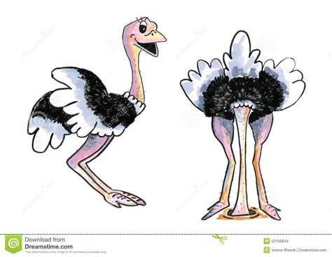 Two Funny Ostriches Stock Vector Illustration Of Creature 53193644