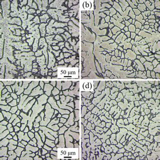 Optical Micrographs Of The As Cast Alloys With Different Ce Contents