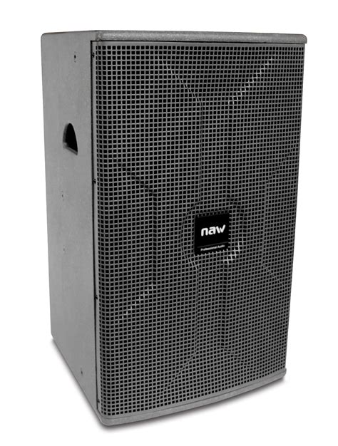 Vk 10 Outdoor Concert Sound System 2 Way MID Range 350 Watts Neo