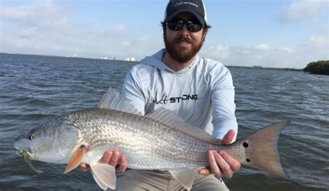 How To Catch Redfish Like A Pro 3 Shortcuts To Success In 2020