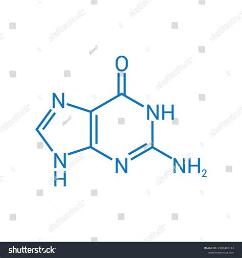 Chemical Structure Of Guanine C5h5n5o Royalty Free Stock Vector 2180446113