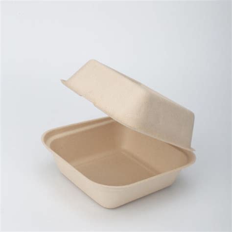 Eco Friendly Pulp Mould Takeaway Packaging Disposable Sugarcane Bagasse