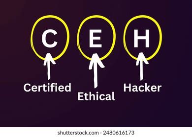 Ethical Hacker Over 623 Royalty Free Licensable Stock Illustrations