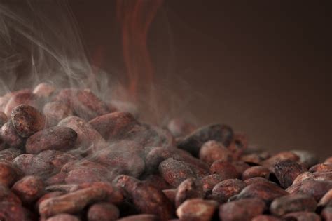 How To Roast Cocoa Beans Cocoa Roasting Process