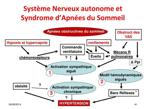 PPT Le Syndrome dApnées du Sommeil PowerPoint Presentation free