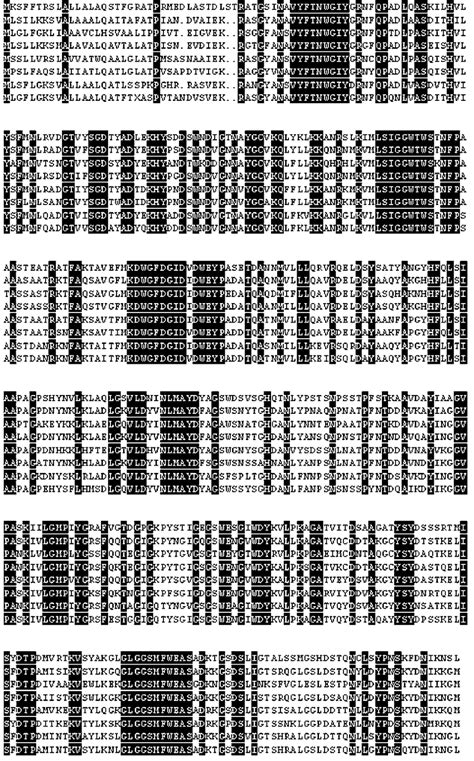 Alignment Of The Amino Acid Sequences Of Chitinases From Different