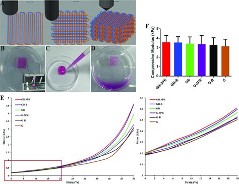 A Path Planning And Design Of D Printed In Situ Vascularized Tissue