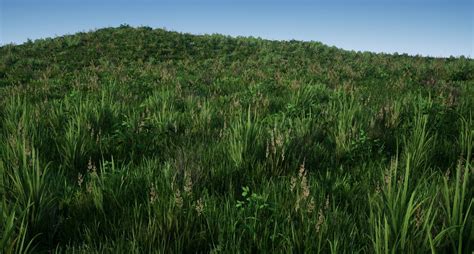 3d Model Realistic Grass Pack 01 Vr Ar Low Poly Cgtrader