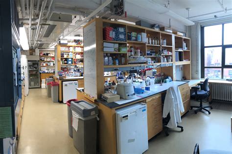 Much of Harvard research scales down for safety — Harvard Gazette