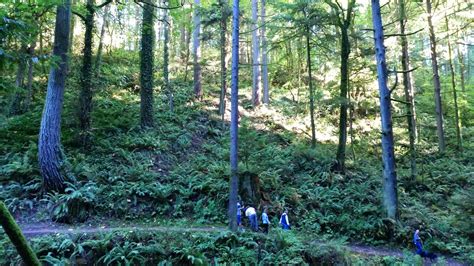 Maple Trail, Forest Park Portland, Oregon | take a hike