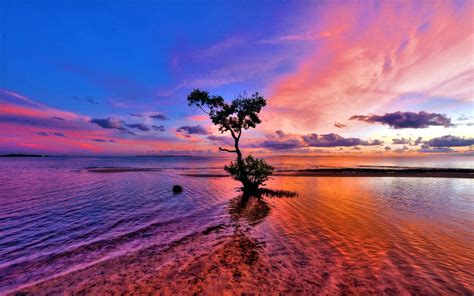 Pink Landscape Wallpapers Top Free Pink Landscape Backgrounds