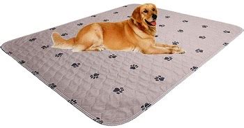 Best 5 Rubber Dog Crate Mat With Non-Slip Design For Safety