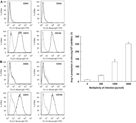 Flow Cytometric Analysis Of Surface Antigen Expression On Primary Hmsc Download Scientific