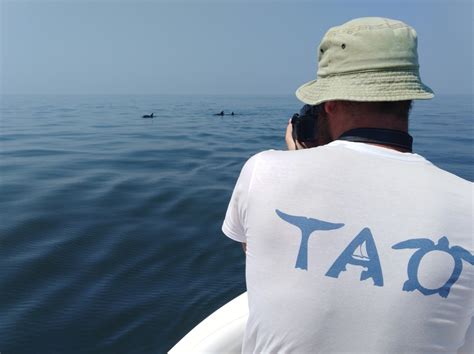 Voliamo Al Mare Un Drone Per La Tutela Di Tartarughe Marine E Delfini