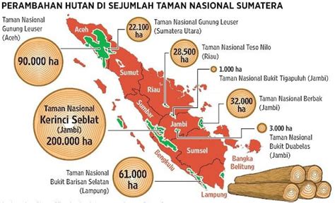 Geografika Nusantara The State Of Sumatras Forests As Per Kompas