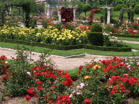 The Charming And Romantic Beauty Of A Splendid Rose Garden