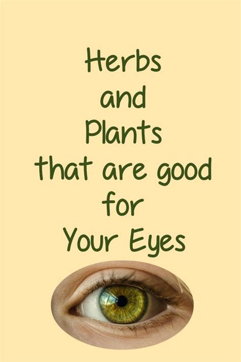 Herbs And Plants That Are Good For Eyes Eye Health Remedies Eye Sight Improvement Eye Health