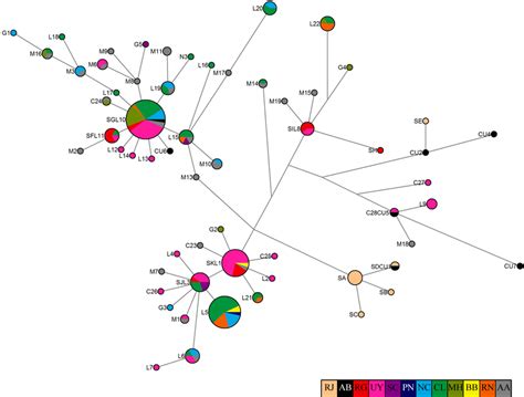 Median Joining Network Based On The Mtdna Control Region Haplotypes Of