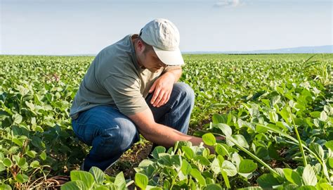 Ingeniero Agr Nomo Qu Es Campo Laboral Y Funciones