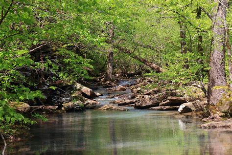 Tributary To Falling Waters Creek Near Popesearcy Count Flickr