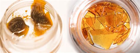 Cannabis Concentrates 101 Wax Shatter Rosin And More Sensi Seeds