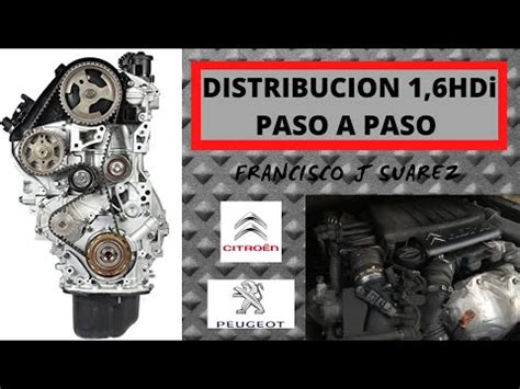 Cambiar Cadena Y Correa De Distribuci N Peugeot Hdi Cc