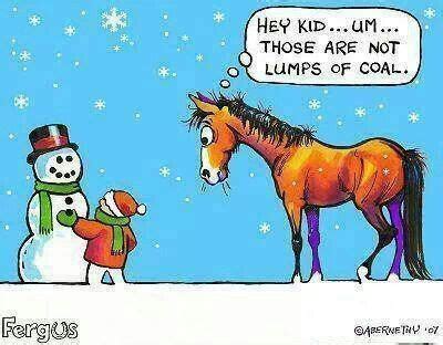 39+ Christmas horse cartoon images ideas | smallhorsestabledesigns