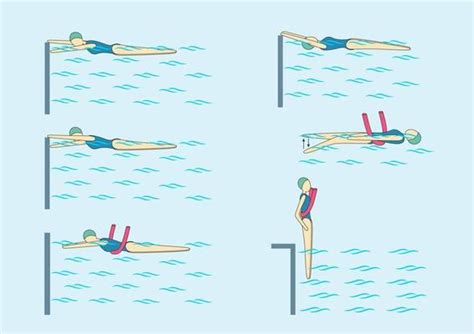 Swimming Strokes Vector Art, Icons, and Graphics for Free Download