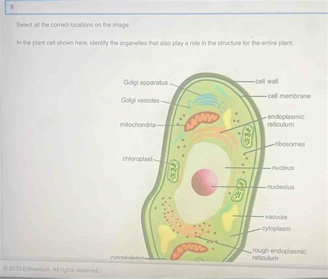 Solved 9 Select All The Correct Locations On The Image In The Plant