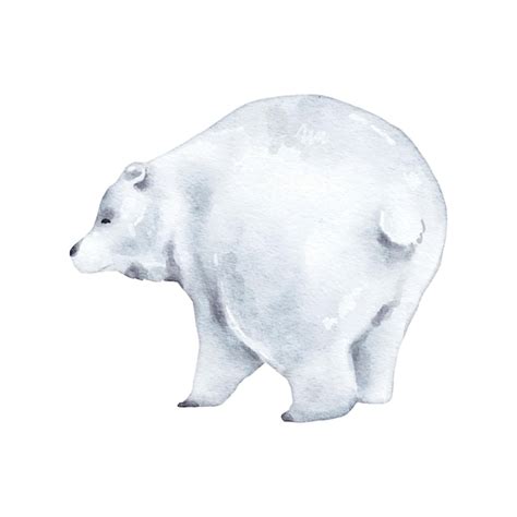 Premium Vector Polar Bear Watercolor Isolated On White Background