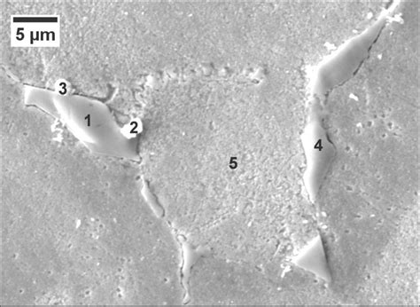 Optical Micrographs Of The Alloy A As Cast B Hot Forged C Hot