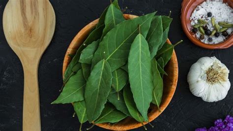 Cómo es el ritual con laurel que se debe hacer en abril para que no te