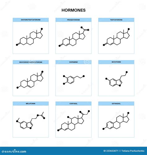 Hormones Molecular Formula Stock Vector Illustration Of Health 233653071