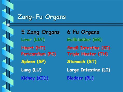 Ppt Zang Fu Physiology Powerpoint Presentation Free Download Id