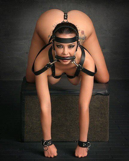 Harness Bondage 5 Moadib