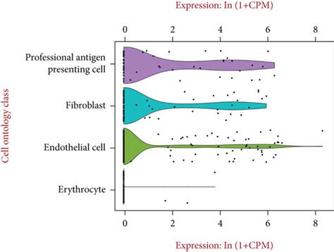 Single Cell Analysis Of Arterial And Cardiac Tissues A Quality