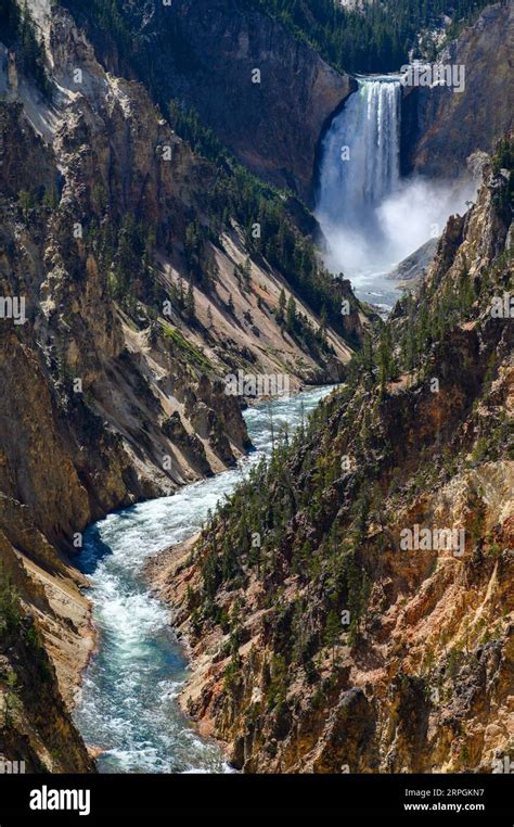 The waterfalls in the Grand Canyon of Yellowstone in Yellowstone National Park Stock Photo - Alamy