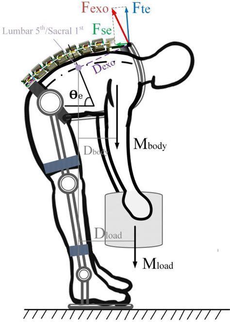 Humanrobot Interaction Model Of Spine Exoskeleton In Human Body