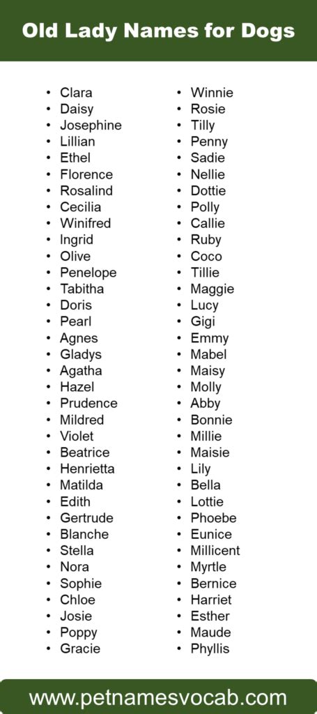 List of Old Lady Names for Dogs: Cute, Funny - Pet Names Vocab