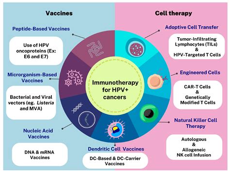 Advancing Immunotherapies for HPV-Related Cancers: Exploring Novel