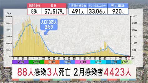 沖縄 新型コロナ新たに88人感染3人死亡 Qab News Headline