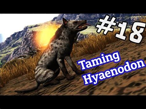 How Tame Hyaenodon 18 ARK SURVIVAL EVOLVED YouTube