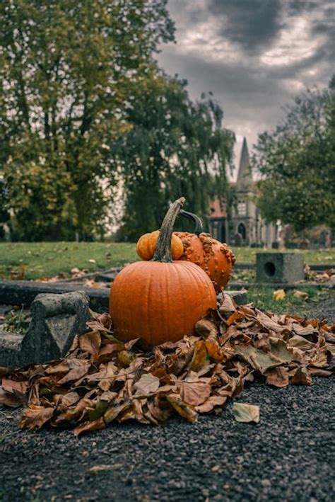 Autumn Window Decoration · Free Stock Photo