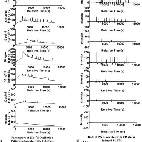 Intracellular Free Calcium Ca 2 I Oscillation Patterns Of In Vivo